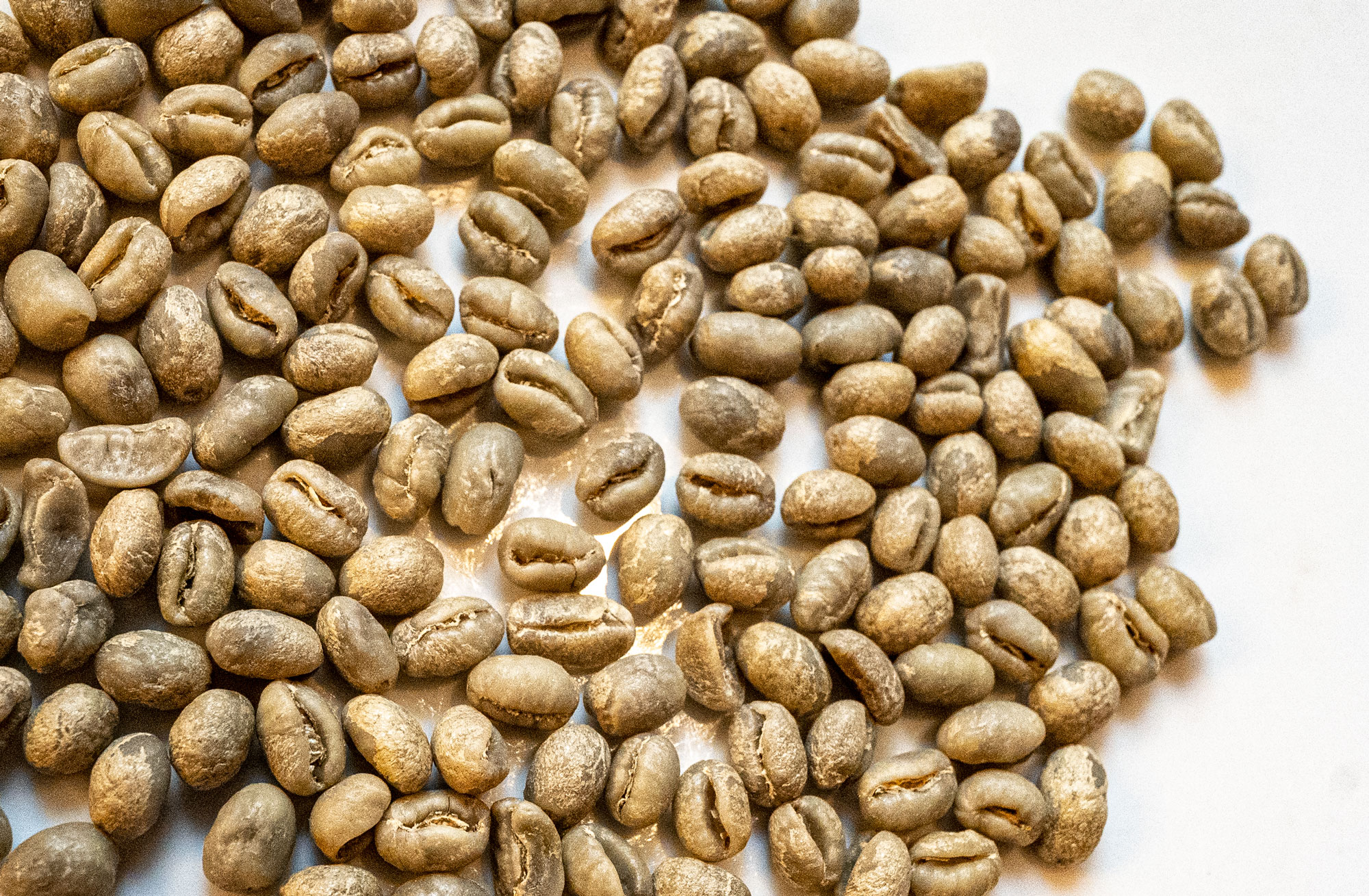 What is Peaberry Coffee? A Quick Guide